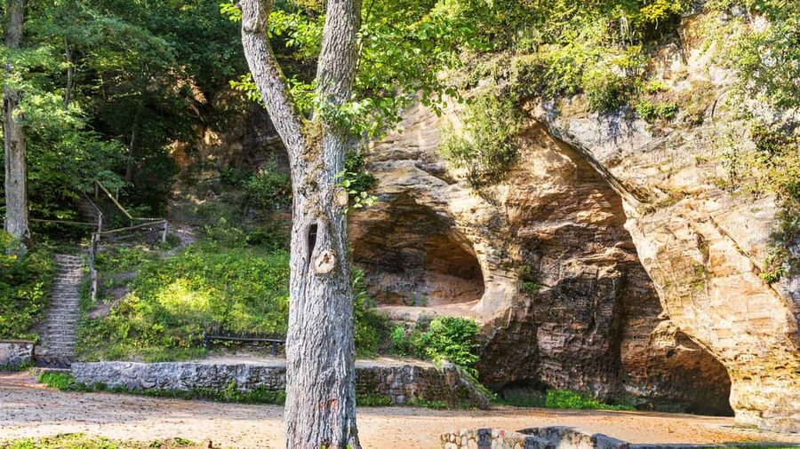 From Riga: Sigulda’s Top Sights & Scenic Picnic (EN/DE/ESP) - Who will get the most from this Sigulda tour