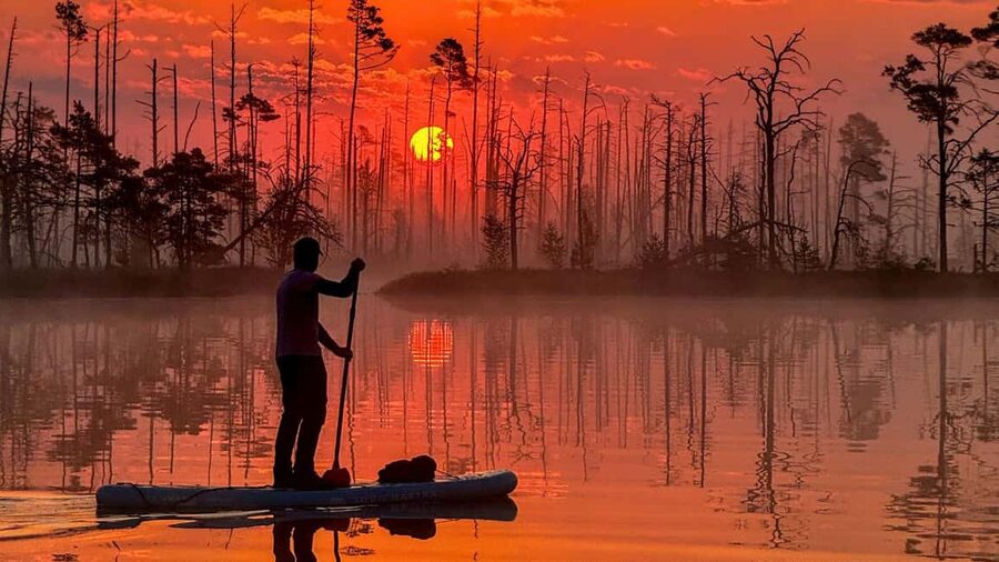 From Riga: Sunrise SUP Tour at Cenas Tīrelis - Key points before you book