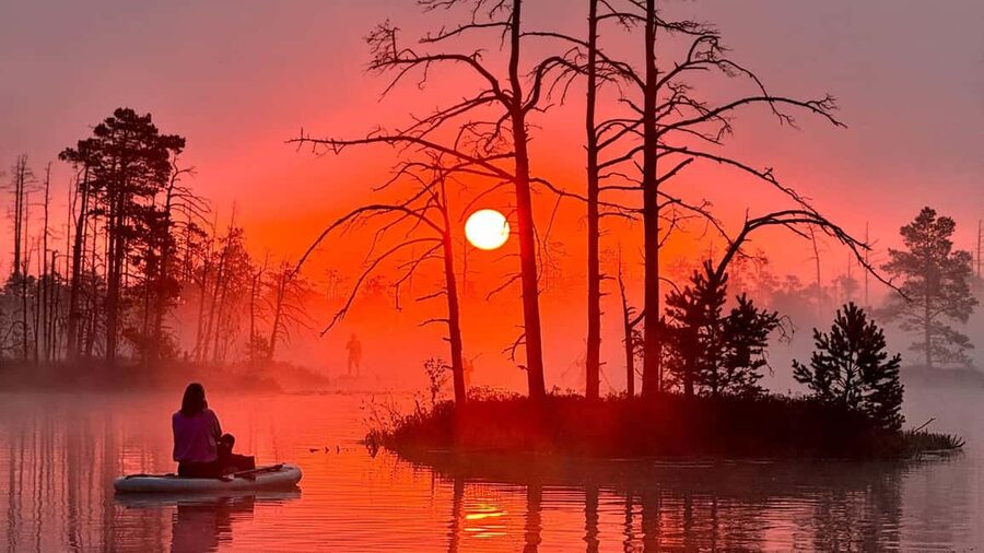 From Riga: Sunrise SUP Tour at Cenas Tīrelis - The 20-minute walk into the bog