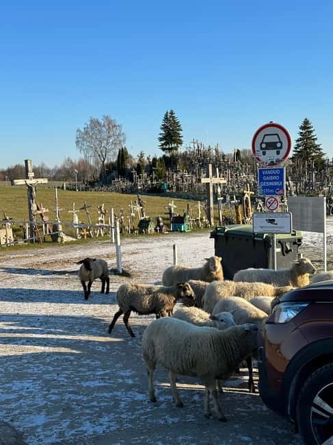 From Riga: Trip to the Hill of Crosses and Pearls of Jelgava - Is $40 good value?