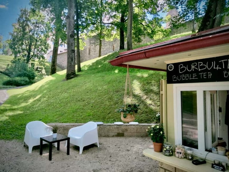 From Riga: Turaida, Sigulda, and Cesis Private Full-Day Trip - The van ride and the rhythm of seven hours