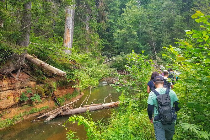 Full Day Gauja National Park Ultimate Hiking & Sightseeing Trip - Key points to know before booking