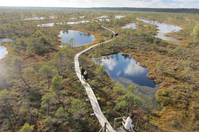 Full-Day Private Trip to Jurmala, Fisherman Villages and Nature Trails from Riga - What the private format changes