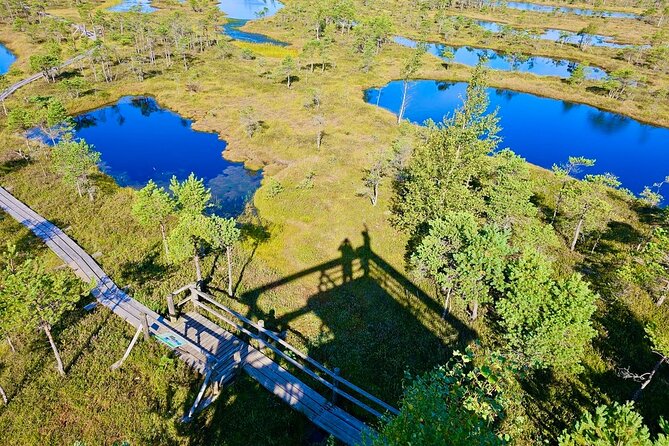 Great Ķemeri Bog and Swamp Forest Hiking Adventure - Why Great Ķemeri Bog is worth the trip from Riga