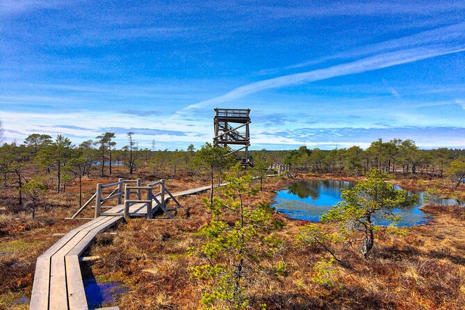 Great Ķemeri Bog and Swamp Forest Hiking Adventure - A guide who adds more than directions