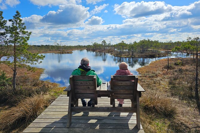 Great Ķemeri Bog and Swamp Forest Hiking Adventure - How the six-hour schedule works