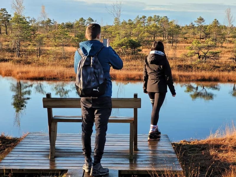 Great Ķemeri Bog & Swamp Forest Hiking Adventure - Leaving Riga for Ķemeri National Park