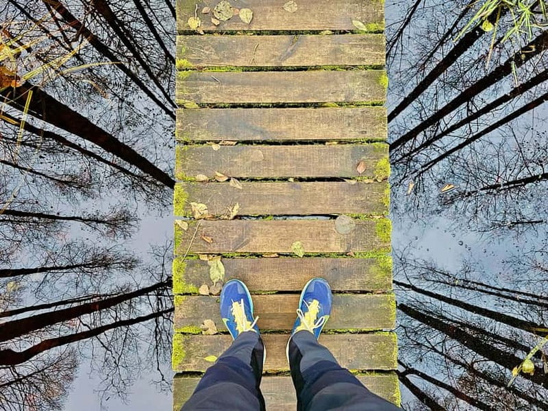 Great Ķemeri Bog & Swamp Forest Hiking Adventure - Is $147 a fair price?