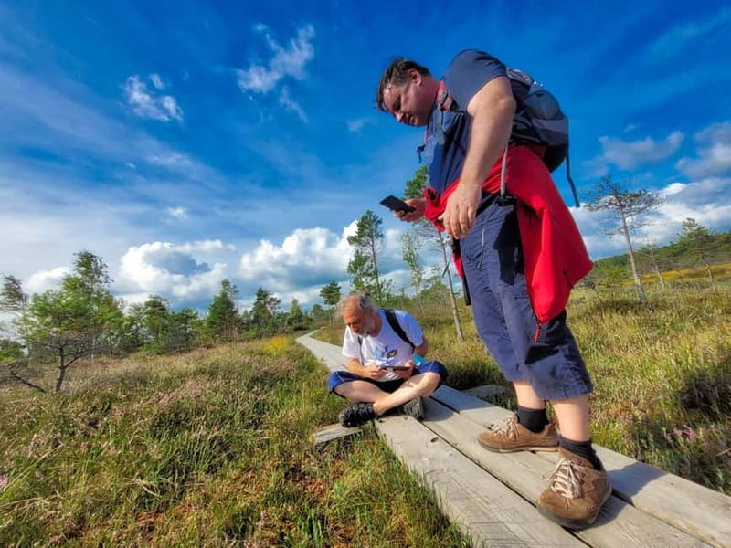 Great Ķemeri Bog & Swamp Forest Hiking Adventure - Timing, fitness, and what to bring