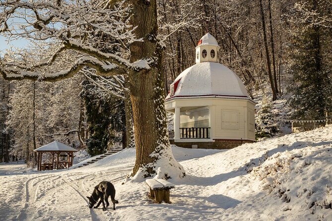 Group Tour: Sigulda and Turaida from Riga. - Why Sigulda makes a strong day trip from Riga