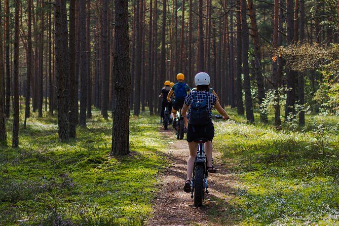 Guided Ebike Tour on Forest Roads and Trails Near Riga - Starting at Bumbu Hill Firewatch Tower