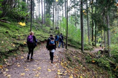 Hike In Gauja National Park – Up And Down The Switzerland Of Latvia