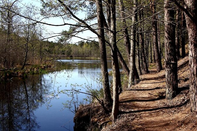 Hiking Adventure in Gauja National Park - 7 Days - Riga Old Town, Art Nouveau, and the Central Market