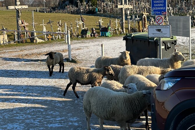Hill of Crosses and Jelgava Gems Tour - 2 countries in 1 day - Lunch at Pilsētas Elpa