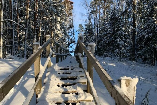 Husky dog sled/bike kart ride in Latvia ~ 3h group tour from Riga - Leaving Riga for the Ogres Zilie Kalni forest