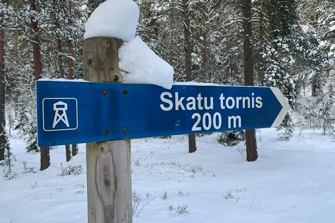 Husky dog sled/bike kart ride in Latvia ~ 3h group tour from Riga - Learning to handle the sled