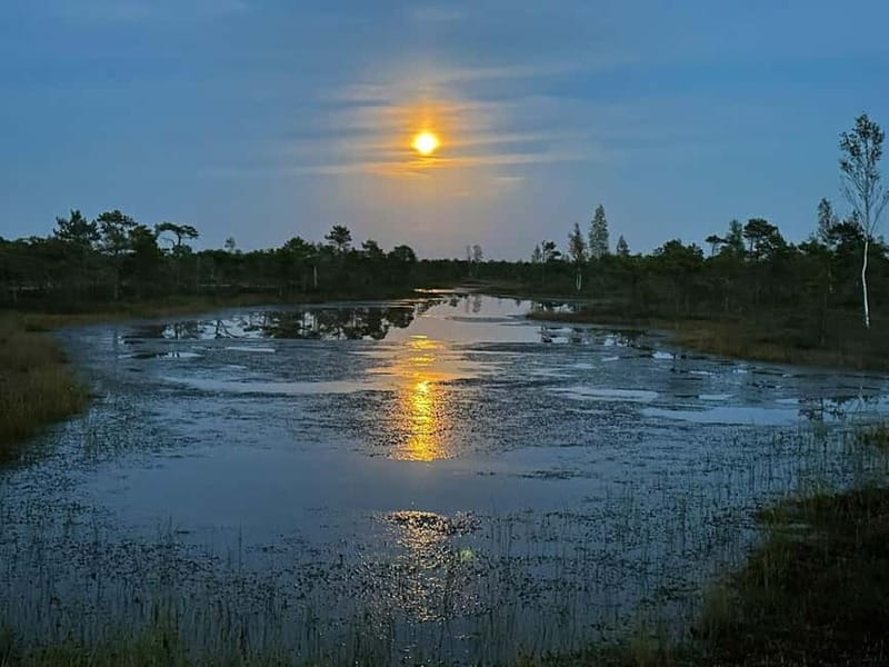 Jurmala: Kemeri National Park Sunset Trip - Jurmala gives you a quick coastal look