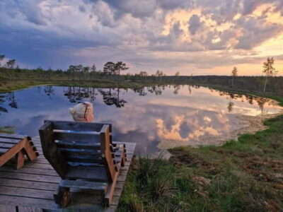 Kemeri National Park Sunset Trip