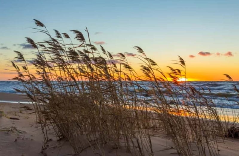 Jurmala,Kuldiga,Ragaciems Beach, Kemeri N park, Food & Drink - Ragaciems Beach, forest road to open sand