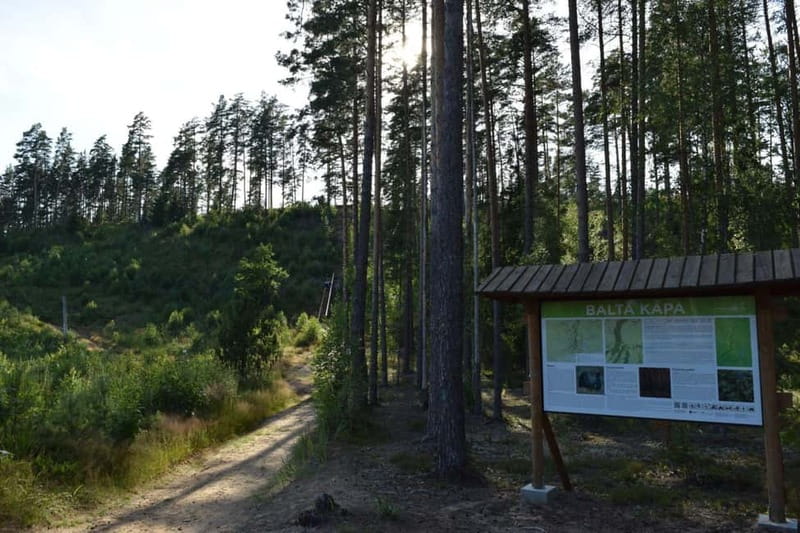 Kayak at the Latvian-Lithuanian border, biggest inland dune - Juri’s Garden of God and carved oak figures