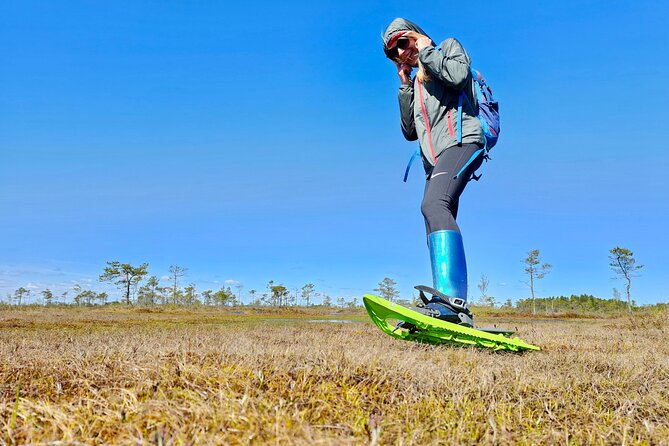 Ķemeri Bogs Adventure: Explore Wetlands In Bog Shoes - Key points to know before you go