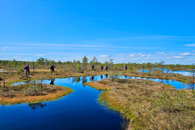 Ķemeri Bogs Adventure: Explore Wetlands In Bog Shoes - Why Ķemeri is better on foot than from a boardwalk