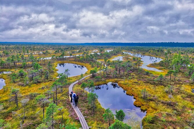 Ķemeri Great Bog Discovery With Optional Sunrise & Jūrmala Visit - The boardwalk walk, roughly two hours and 4 to 5 kilometers