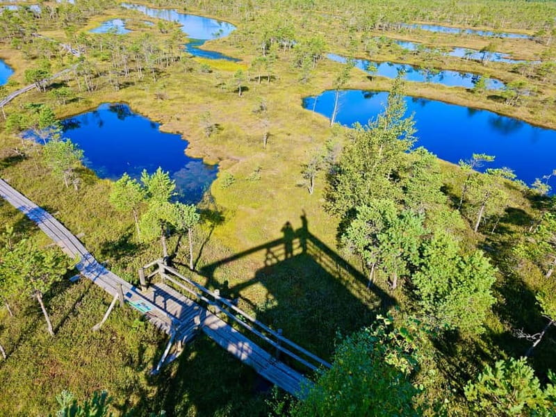 Ķemeri Great Bog With Optional Sunrise & Jūrmala Visit - Why Ķemeri Great Bog is worth leaving Riga for