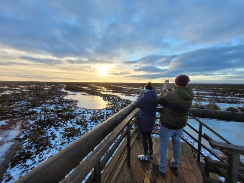 Ķemeri Great Bog With Optional Sunrise & Jūrmala Visit - Practical limits and who should book