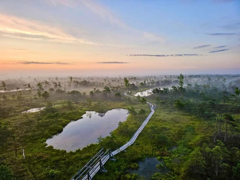 Ķemeri Great Bog With Optional Sunrise & Jūrmala Visit - Final verdict: should you book it?