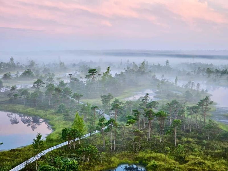 Ķemeri Great Bog With Optional Sunrise & Jūrmala Visit - Walking the wooden boardwalk