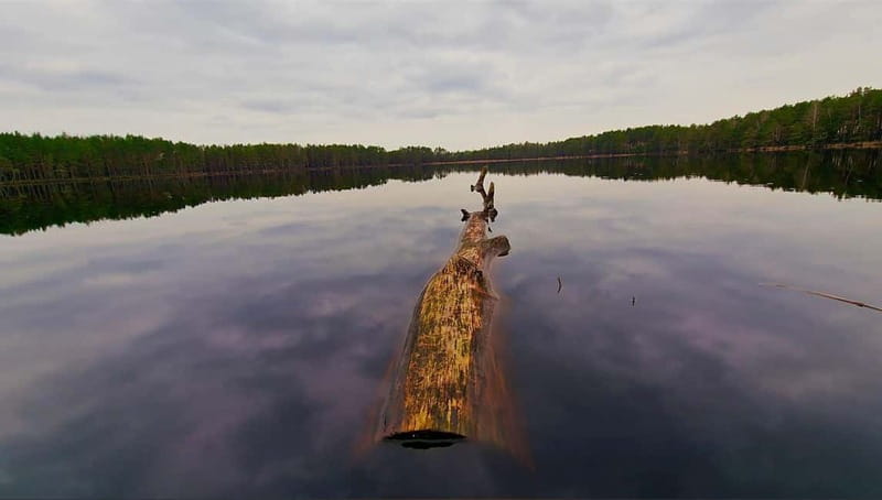 Kemeri N Park, Jurmala, Lake Melnezers & White Castle Hotel - Seeing The Dark Water Of Lake Melnezers