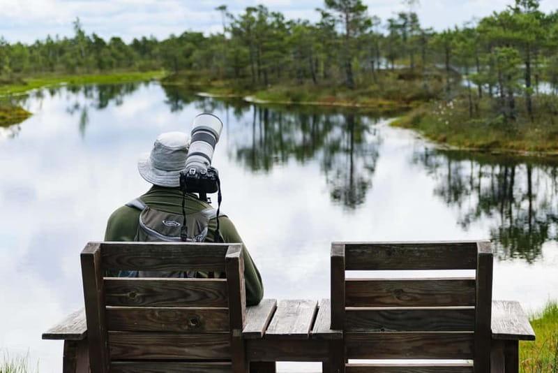 Kemeri National Park & Baltic Seaside Tour Bog Boardwalk - The best parts of the day