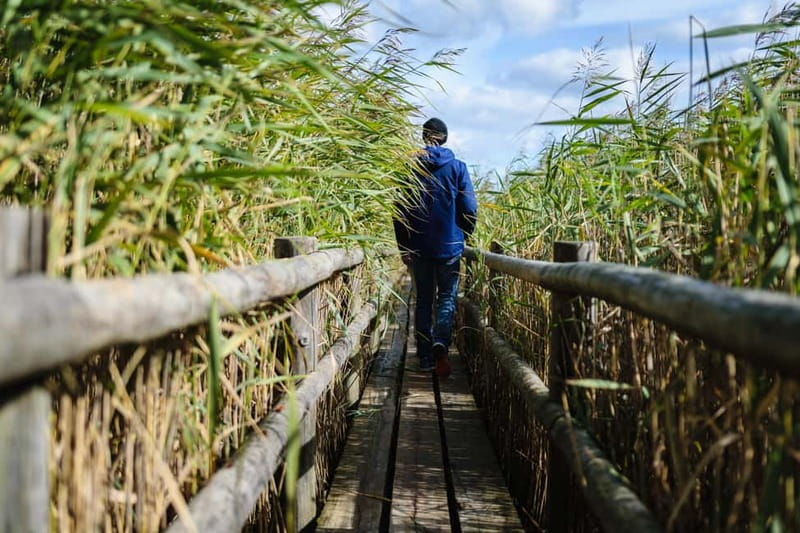 Kemeri National Park & Baltic Seaside Tour Bog Boardwalk - Why this makes a good break from Riga