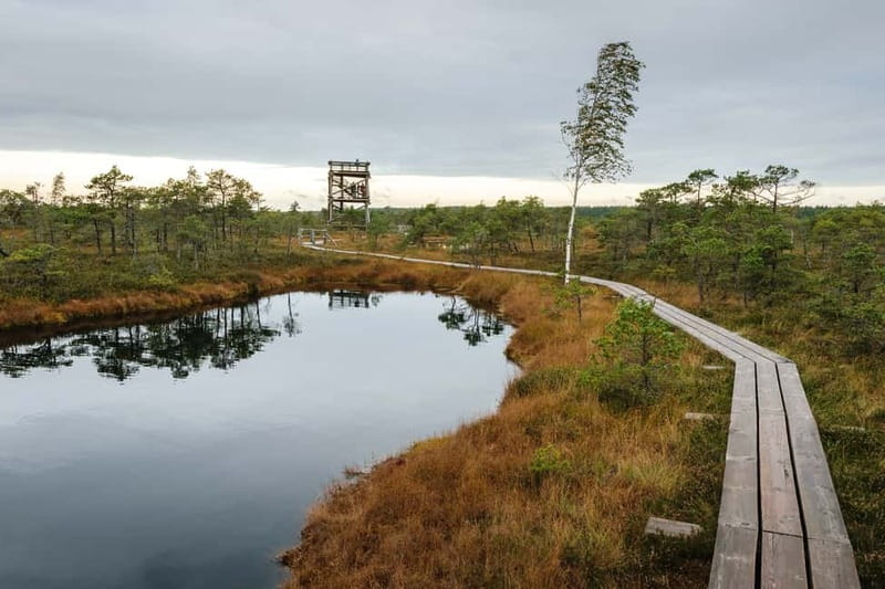 Kemeri National Park & Baltic Seaside Tour Bog Boardwalk - Kaņieris Lake and the bird-watching tower