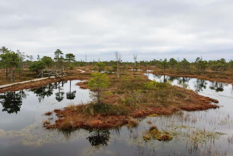 Kemeri National Park & Baltic Seaside Tour Bog Boardwalk - Jūrmala gives the day a resort finish