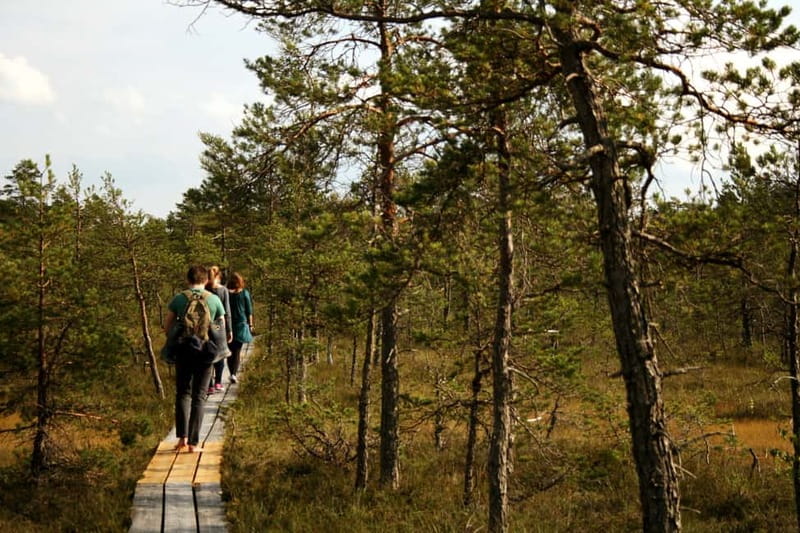 Kemeri National Park & Baltic Seaside Tour Bog Boardwalk - Is $210 per person good value?