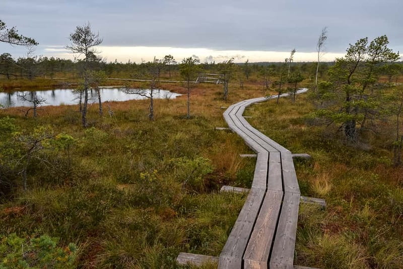Kemeri National Park & Baltic Seaside Tour Bog Boardwalk - What to bring and how hard is it?