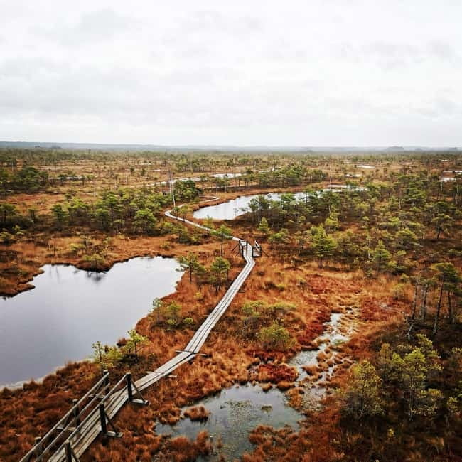 Kemeri National Park Bog Trail near Riga - Who will enjoy this half-day outing?