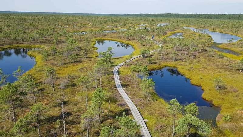 Kemeri National Park Bog Trail near Riga - From Riga to the quiet edge of Jurmala