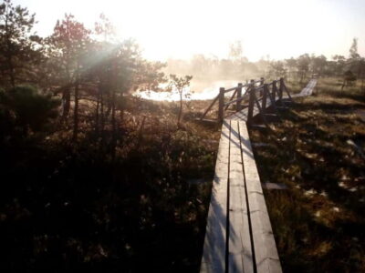 Kemeri National Park Bog Trail near Riga