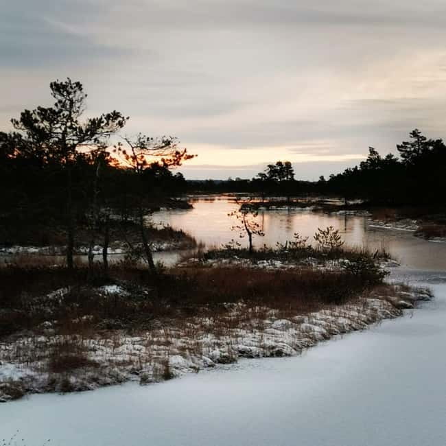 Kemeri National Park Bog Trail near Riga - Kemeri health resort adds a human story