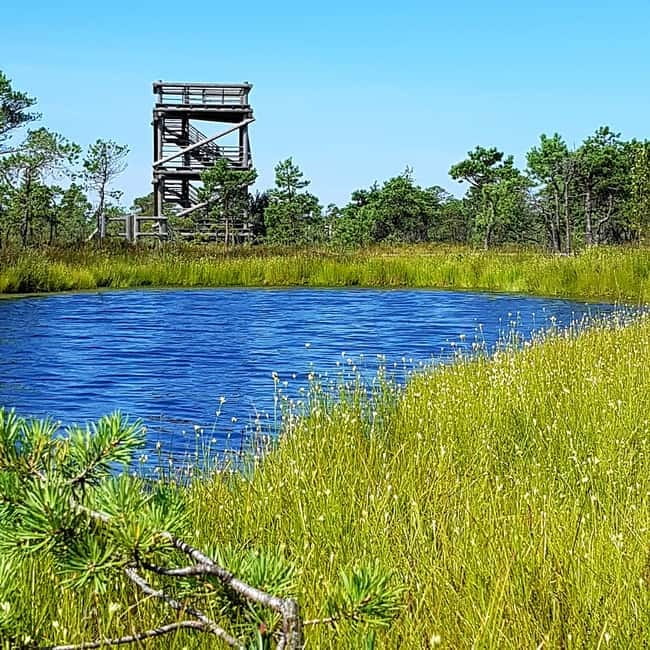 Kemeri National Park Bog Trail near Riga - Jurmala brings in the Baltic sea air
