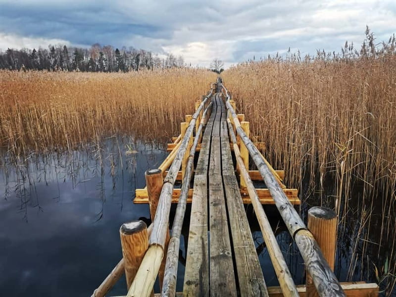 Kemeri National Park Outdoor Tour - Why this half-day trip works from Riga