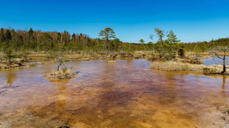 Kemeri National Park Outdoor Tour - Kanieris Lake and its floating wooden paths