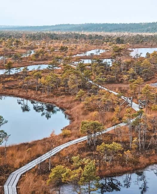 Latvian Landscapes: Kemeri & Jurmala Guided Tour - From park trails to Jurmala’s Baltic shore