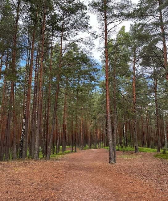 Latvian Landscapes: Kemeri & Jurmala Guided Tour - Choosing between more Jurmala time and a ride back to Riga
