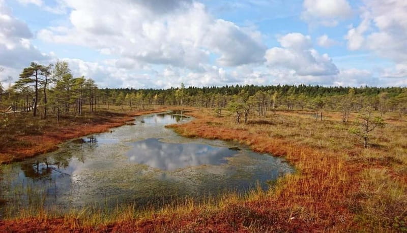 Latvian Landscapes: Kemeri & Jurmala Guided Tour - Is $165 a fair price?