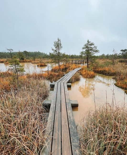 Latvian Landscapes: Kemeri & Jurmala Guided Tour - Starting from your Riga accommodation