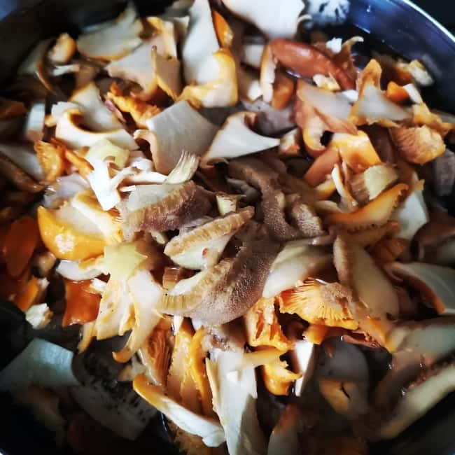 Mushroom picking in the forests near Riga - Sigulda sights add a cultural stop
